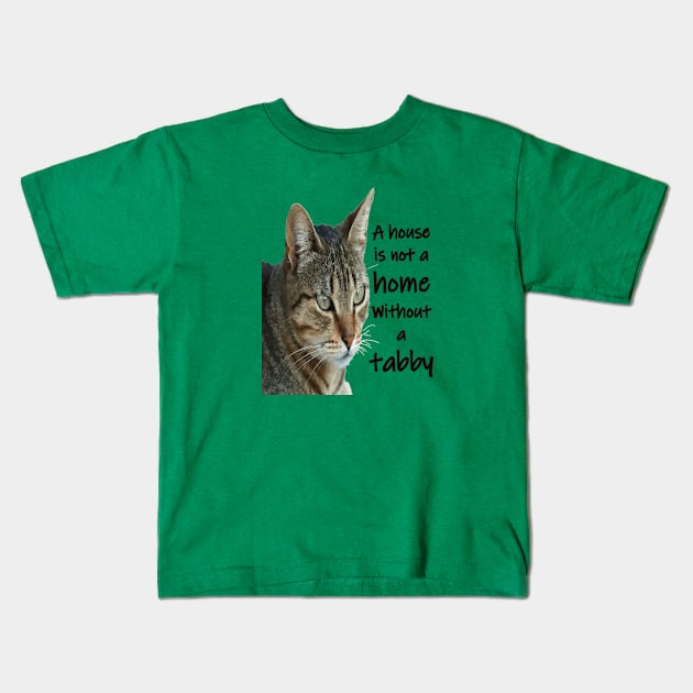 A House Is Not A Home Without A Tabby Cat Kids T-Shirt by taiche